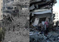 Điều bất ngờ xuất hiện giữa những đống đổ nát ở Gaza