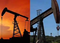 Dự trữ dầu của OECD giảm kỷ lục trong gần 4 thập kỷ