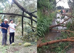 Mưa lớn kèm lốc xoáy gây nhiều thiệt hại tại Đồng Nai