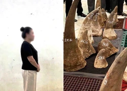 Tàng trữ một miếng sừng tê giác trắng, người phụ nữ bị khởi tố