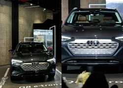 Triệu hồi một số xe điện Audi và xe Nissan đời cũ tại Việt Nam