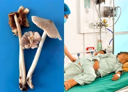 3 anh em một nhà đi cấp cứu sau khi ăn món quen thuộc, cảnh báo của bác sĩ