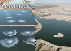 Bí mật phía sau kỳ tích nuôi hải sản giữa sa mạc của Trung Quốc