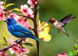 Đúng ngày mai, Chủ Nhật 21/6/2026, 3 con giáp nam phát tài, nữ thịnh vượng, sự nghiệp nở rộ, an nhàn sung sướng, mọi điều hanh thông