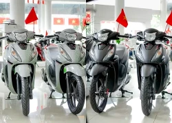 Mẫu xe máy Honda nào tương thích với xăng E10?