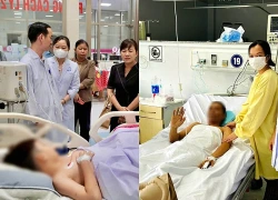 Vụ gần 300 người nghi ngộ độc bánh mì ở Đồng Tháp: Phát hiện vi khuẩn Salmonella