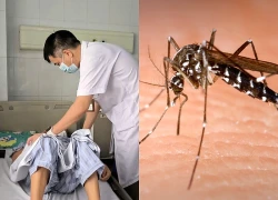 Chuyên gia cảnh báo 'sốt xuất huyết không còn thuần túy theo mùa'