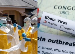 Dịch Ebola: Gia tăng tính tự chủ - Chìa khóa nâng cao khả năng ứng phó dịch bệnh của châu Phi