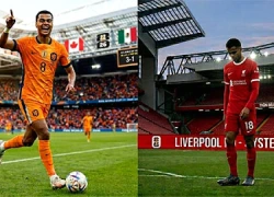 Gakpo hé lộ lý do chơi ở ĐT Hà Lan hay hơn tại Liverpool