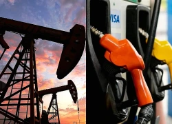 Giá dầu thô giảm mạnh sau tiến triển của đàm phán Mỹ - Iran