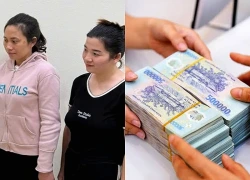 Khởi tố nữ giám đốc ở Ninh Bình vì trốn thuế