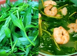 Loại cỏ dại mọc tua tủa sau mưa không ngờ là rau quý, nấu chung với tôm rất ngon, không biết ăn quá tiếc