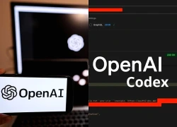 Lỗi OpenAI Codex CLI âm thầm bào mòn SSD: Nguy cơ hỏng ổ cứng trong chưa đầy một năm