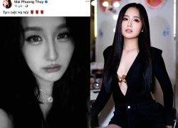Mai Phương Thúy bất ngờ nói lời tạm biệt, trạng thái bất ổn, chuyện gì xảy ra?