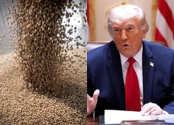 Ông Trump muốn Iran dùng tiền đóng băng mua nông sản Mỹ, Tehran lên tiếng