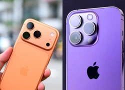 Vì sao camera iPhone đột nhiên hiện biểu tượng bông hoa?