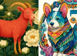 Chúc mừng 3 con giáp phát tài phát lộc, thu nhập dồi dào, cuộc sống hưng thịnh rực rỡ, vinh hoa phú quý có đủ trong 4 ngày cuối tháng 6 dương lịch