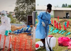 Dịch Ebola: Pháp ghi nhận ca bệnh đầu tiên