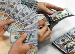 Đồng USD lên mức cao nhất 13 tháng nhờ kỳ vọng Fed tăng lãi suất