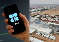 Iraq cảnh báo về khả năng rời OPEC
