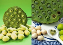 Mất ngủ nên ăn hạt sen tươi hay hạt sen khô để dễ vào giấc?