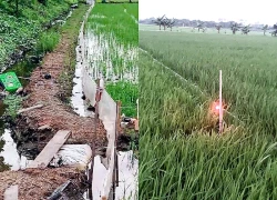 Một tháng hai người tử vong vì dính bẫy chuột bằng điện