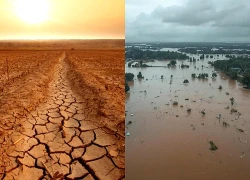 Nguy cơ xuất hiện 'siêu El Nino' gia tăng, gây thời tiết cực đoan khắp Bắc Mỹ