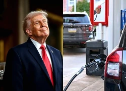 Tổng thống Trump chỉ đạo điều tra việc giá dầu bán lẻ trong nước vẫn cao