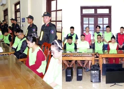 Triệt phá đường dây lừa đảo hơn 250 tỷ đồng