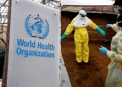 WHO xác định thời điểm có thể tuyên bố chấm dứt đợt bùng phát Virus Hanta