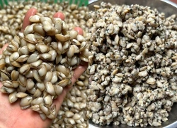 4 món canh ngày hè với loại đặc sản rẻ tiền nhưng giúp mát gan, giải độc