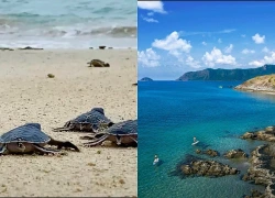 48 giờ ở 'đảo bí mật nhất thế giới' tại Việt Nam