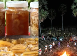 Biến rừng thốt nốt hoang sơ thành điểm du lịch độc đáo ở vùng Bảy Núi
