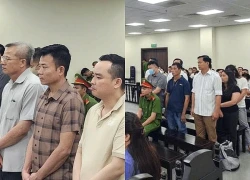 Cựu Chủ tịch Công ty Nam Triệu lĩnh án 29 năm tù