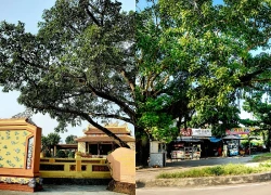 Nơi thời gian neo lại