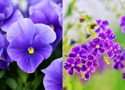 Đúng hôm nay, thứ 5 ngày 2/7/2026, 3 con giáp đếm tiền mỏi tay, thu nhập gấp bội, tiêu pha xả láng, cuộc sống viên mãn hanh thông
