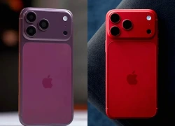 iPhone 18 Pro Max lộ diện màu mới đầy bí ẩn, thiếu vắng màu nhiều fan tiếc nuối