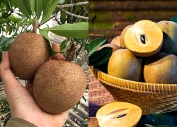 Không chỉ thơm ngọt, loại quả quen thuộc này còn là 'kho dinh dưỡng' cho sức khỏe