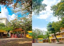 Ngôi trường cấp 3 hơn 10 năm liên tiếp giữ "ngôi vương" điểm chuẩn vào lớp 10 TP.HCM