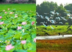 Quê hương thứ 2 của Hồ Văn Cường khiến du khách 'đi một lần là nhớ cả đời'