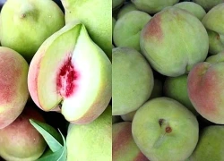 Quả đào giàu vitamin C nhưng bộ phận này tuyệt đối không ăn
