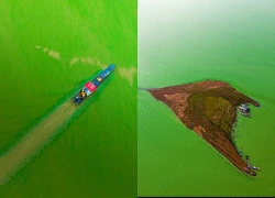 'Rễ phù sa khổng lồ' lộ diện ở hồ Trị An mùa nước cạn