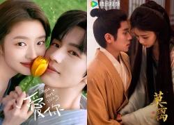 Top 10 phim Trung Quốc kết thúc có hậu, hay từ đầu đến cuối