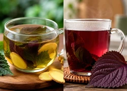 Có nên uống nước lá tía tô gừng hàng ngày không?