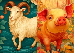 Đúng 20h hôm nay, ngày 28/7/2026, 3 con giáp 'vận đỏ như son', sự nghiệp thăng tiến vượt bậc, tiền của dư dôi, giàu có viên mãn