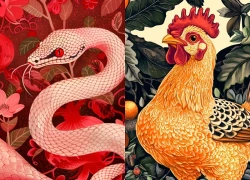 Đúng 20h hôm nay, ngày 30/7/2026, 3 con giáp muốn Tài có Tài, muốn Phúc được Phúc, Rồng hóa Phượng, hứa hẹn giàu sang rực rỡ