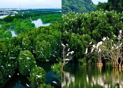 LHQ thúc đẩy nỗ lực bảo vệ đa dạng sinh học toàn cầu