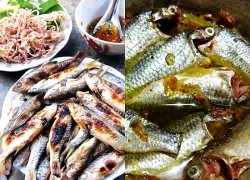 Loài cá có cái tên ai nghe cũng phải hỏi lại, đặc sản chinh phục thực khách khó tính bằng hương vị khó kiếm