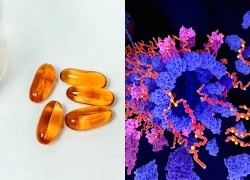 Loại vitamin quen thuộc giúp giảm protein độc hại gây bệnh Alzheimer