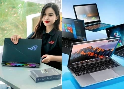 Sinh viên nên chọn laptop văn phòng hay gaming?